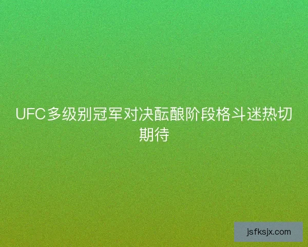 UFC多级别冠军对决酝酿阶段格斗迷热切期待